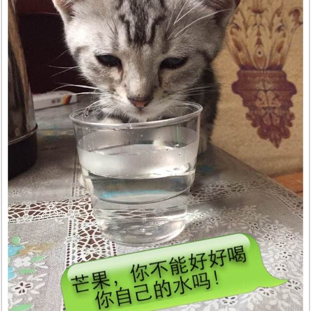 哪里可以办摩纳哥签证